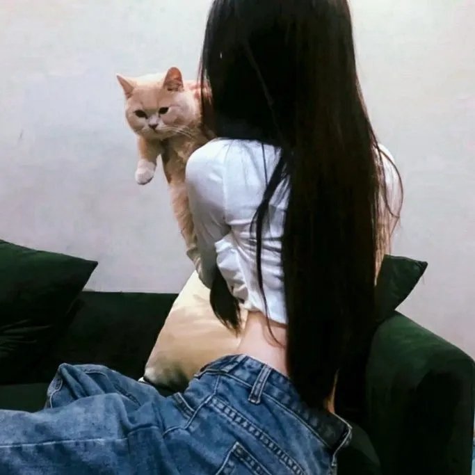 罗莎夫人